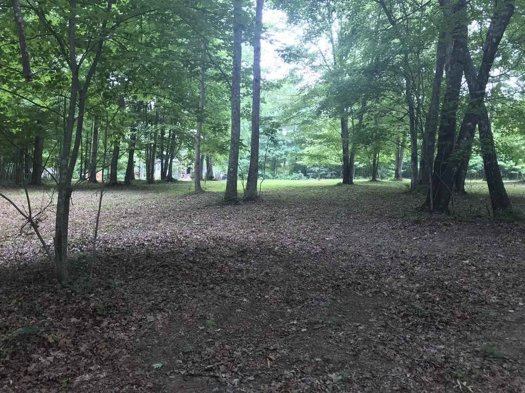 503 Wilderness Way Dunlap TN 37327