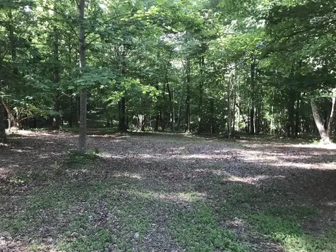 503 Wilderness Way Dunlap TN 37327