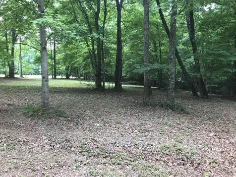 503 Wilderness Way Dunlap TN 37327