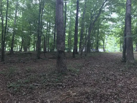 503 Wilderness Way Dunlap TN 37327