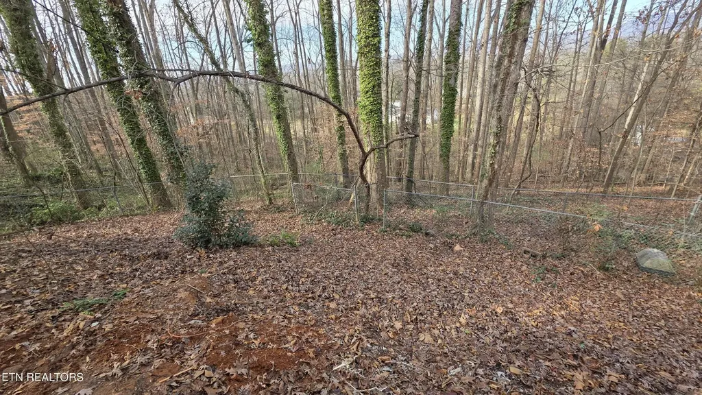 1135 W Outer Drive Oak Ridge TN 37830