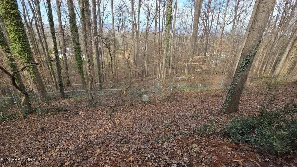 1135 W Outer Drive Oak Ridge TN 37830
