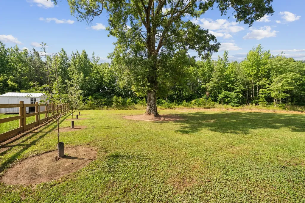 4108 Summertown Highway Summertown TN 38483