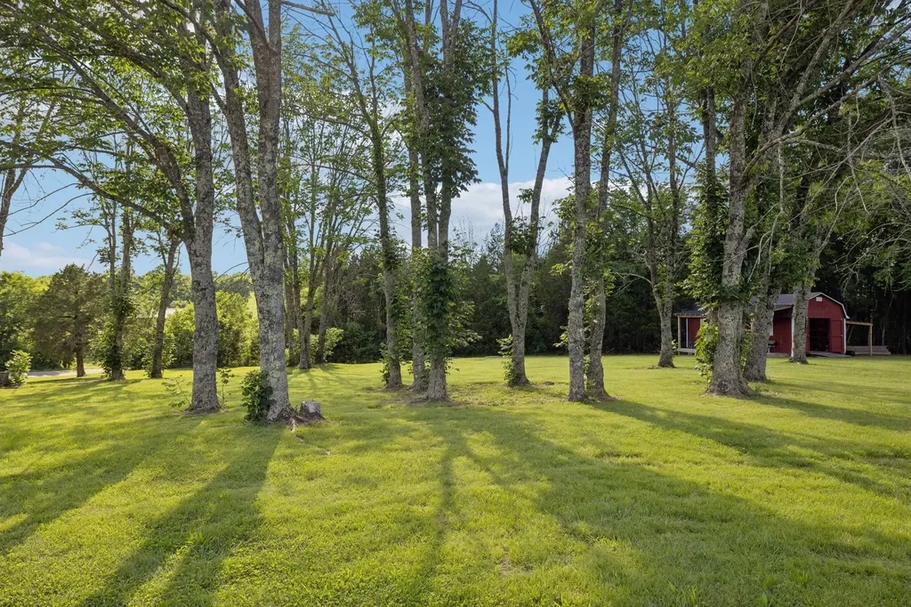 45 Tracy Road Watertown TN 37184
