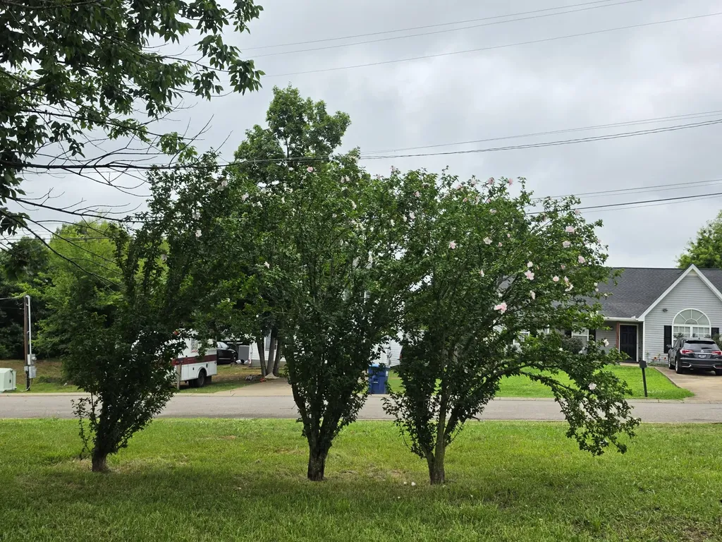 2000 Penmar Drive La Vergne TN 37086