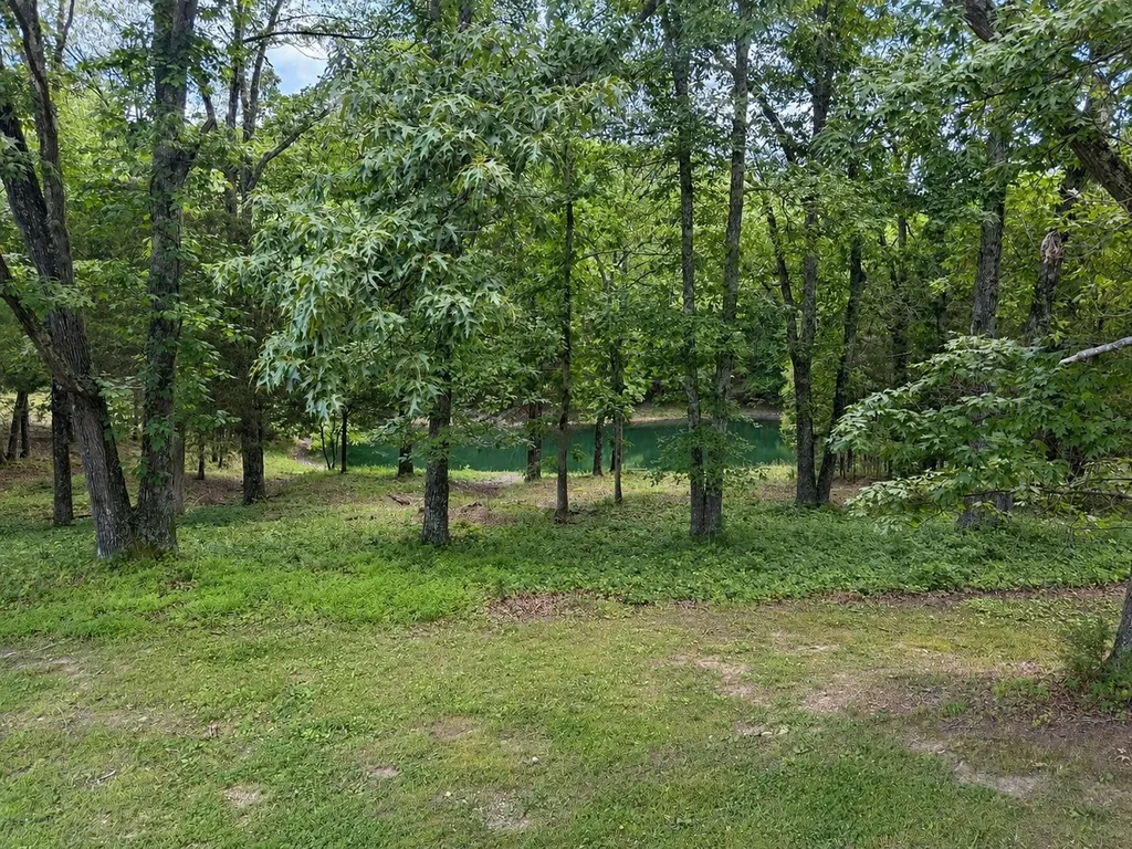 1217 Nelson Road Dickson TN 37055