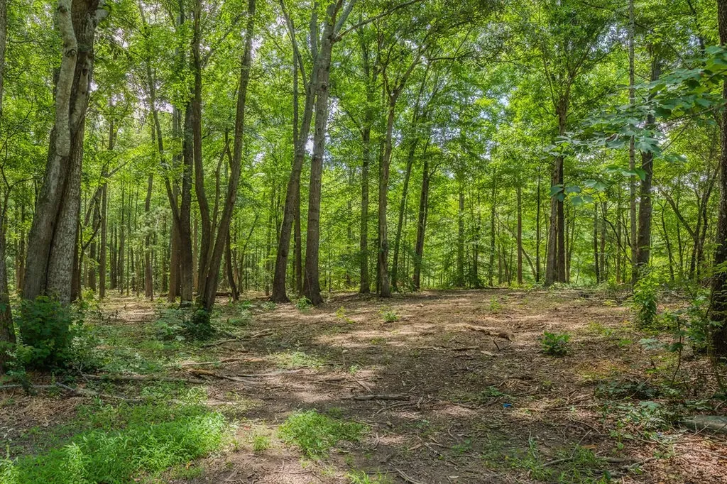 924 Spring Valley Road Mcminnville TN 37110