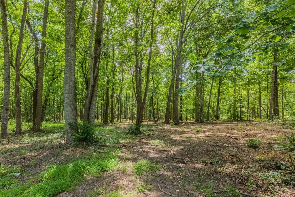924 Spring Valley Road Mcminnville TN 37110