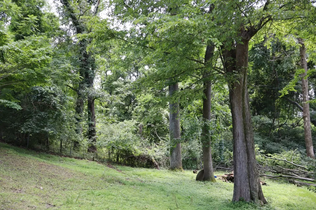 236 Santa Rosa Court Old Hickory TN 37138