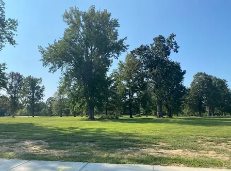1995 Rosewood White House TN 37188