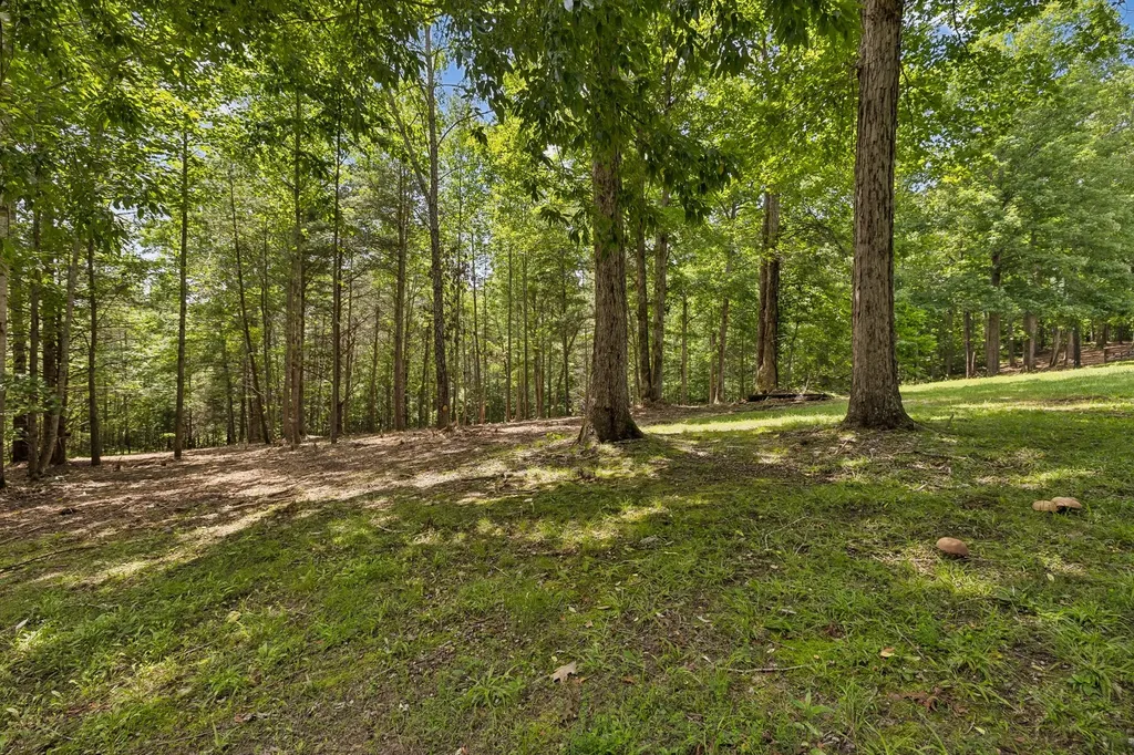 7555 County Line Road Fairview TN 37062