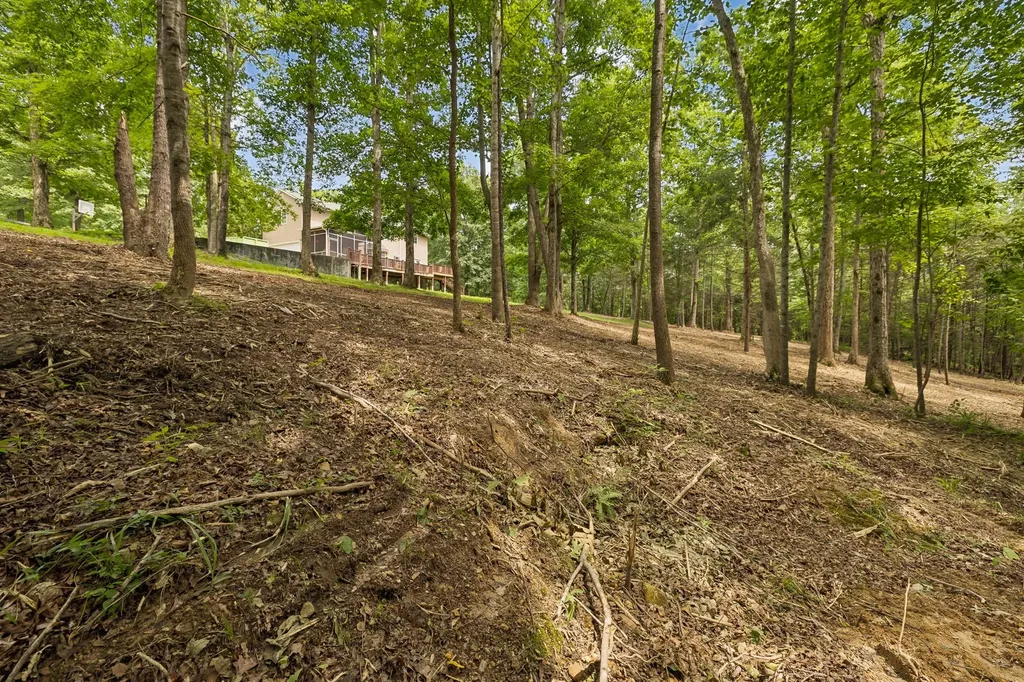 7555 County Line Road Fairview TN 37062