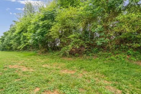 243 Alexander Boulevard Clarksville TN 37040