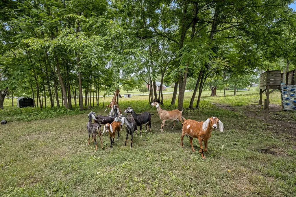 5825 Cobb Hollow Road Tullahoma TN 37388