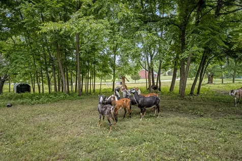 5825 Cobb Hollow Road Tullahoma TN 37388
