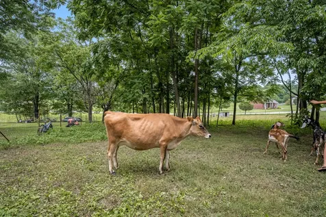 5825 Cobb Hollow Road Tullahoma TN 37388