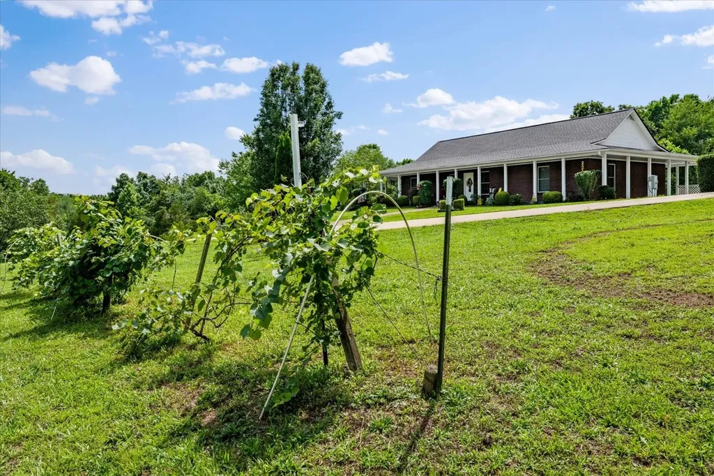 124 Napier Road Hohenwald TN 38462