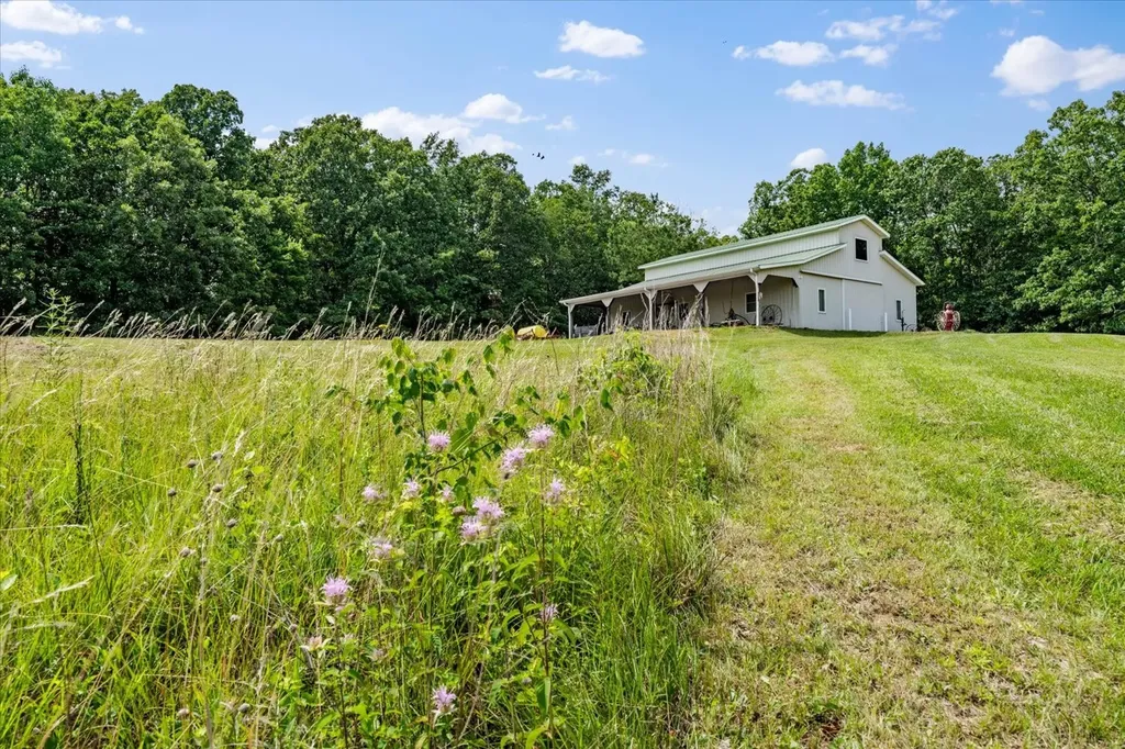 124 Napier Road Hohenwald TN 38462