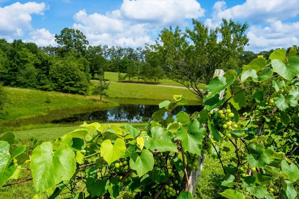124 Napier Road Hohenwald TN 38462