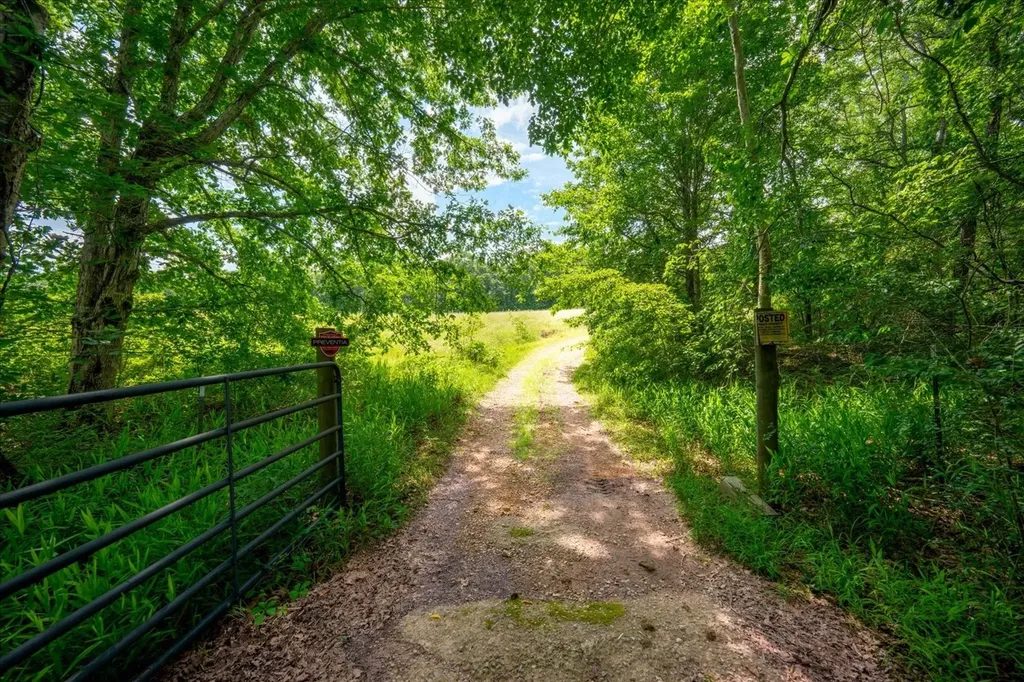 124 Napier Road Hohenwald TN 38462