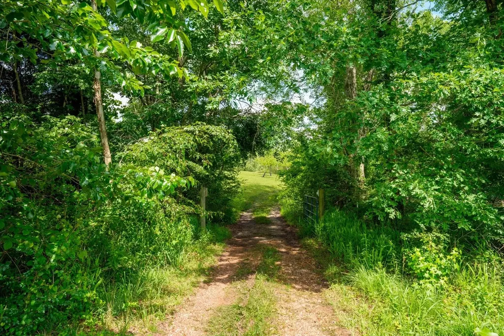 124 Napier Road Hohenwald TN 38462