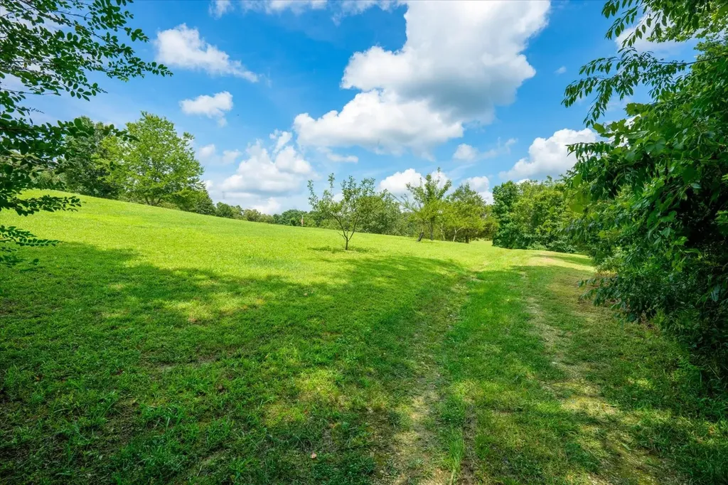 124 Napier Road Hohenwald TN 38462