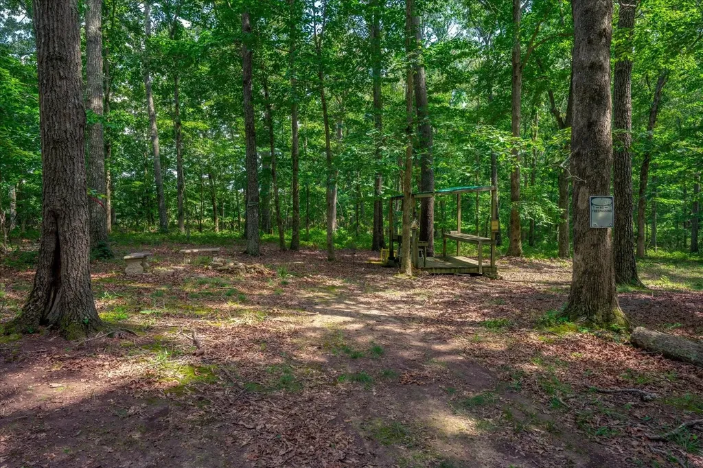 124 Napier Road Hohenwald TN 38462