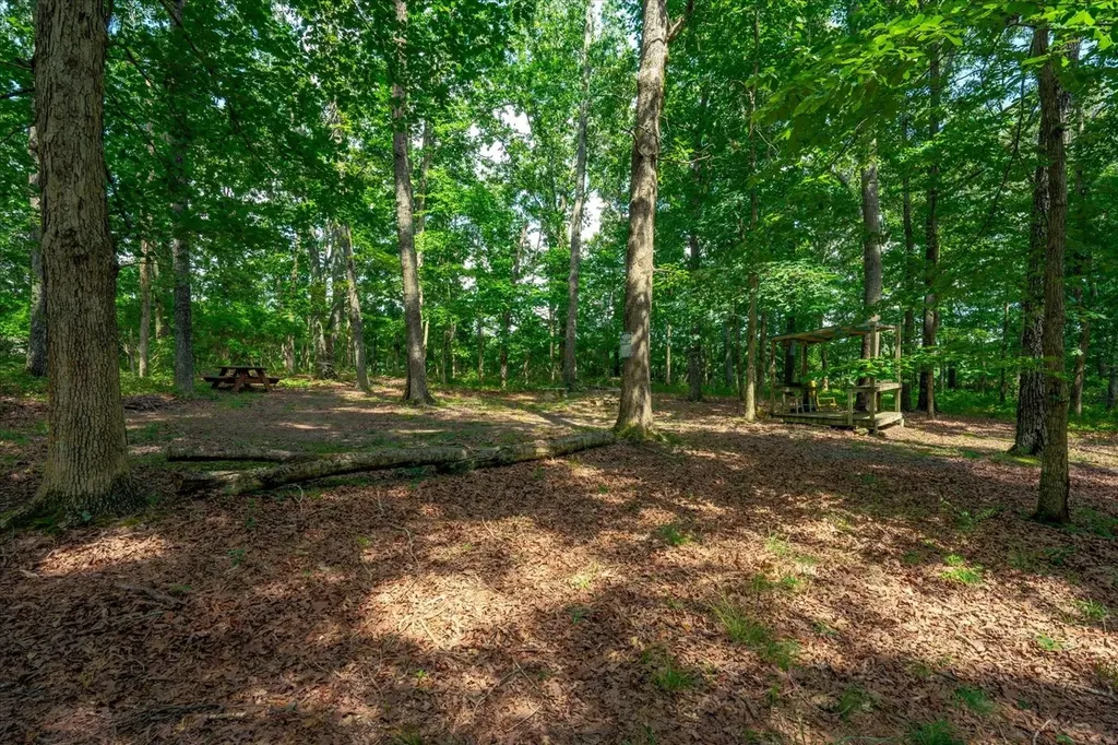 124 Napier Road Hohenwald TN 38462