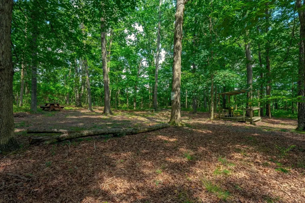 124 Napier Road Hohenwald TN 38462