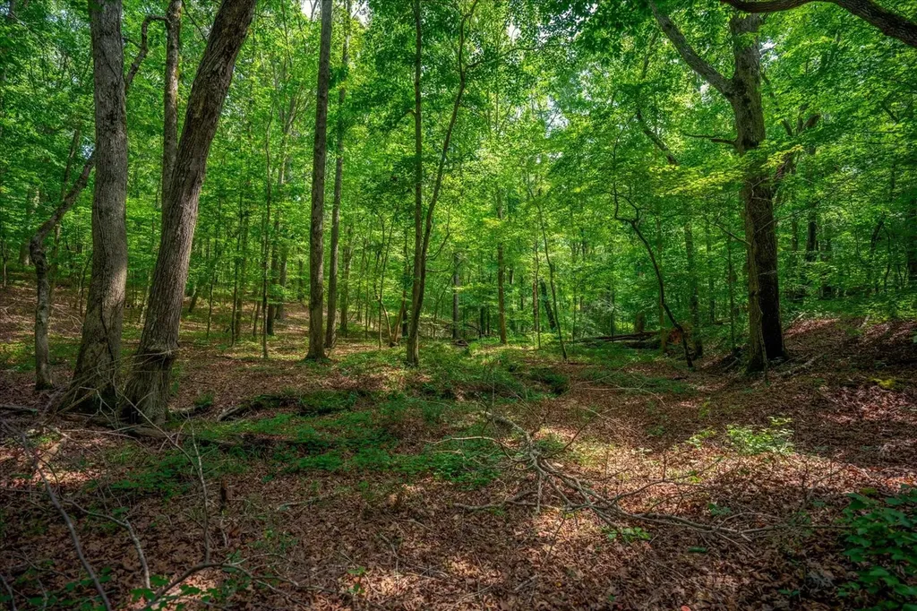 124 Napier Road Hohenwald TN 38462