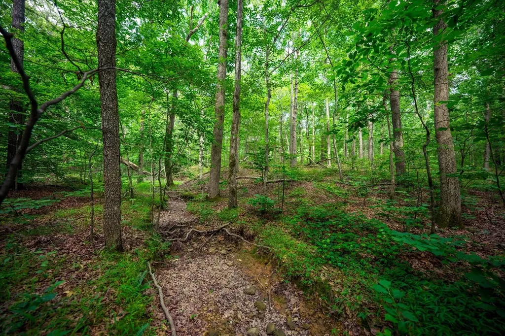 124 Napier Road Hohenwald TN 38462