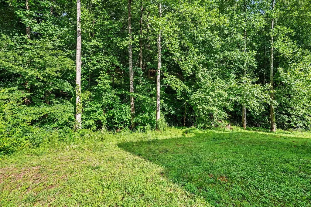 809 Ruby Way White Bluff TN 37187