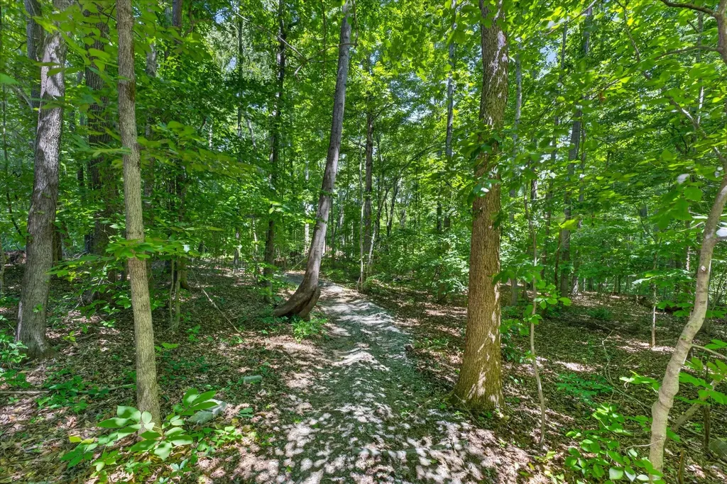 1175 Hutcheson Lane Clarksville TN 37040