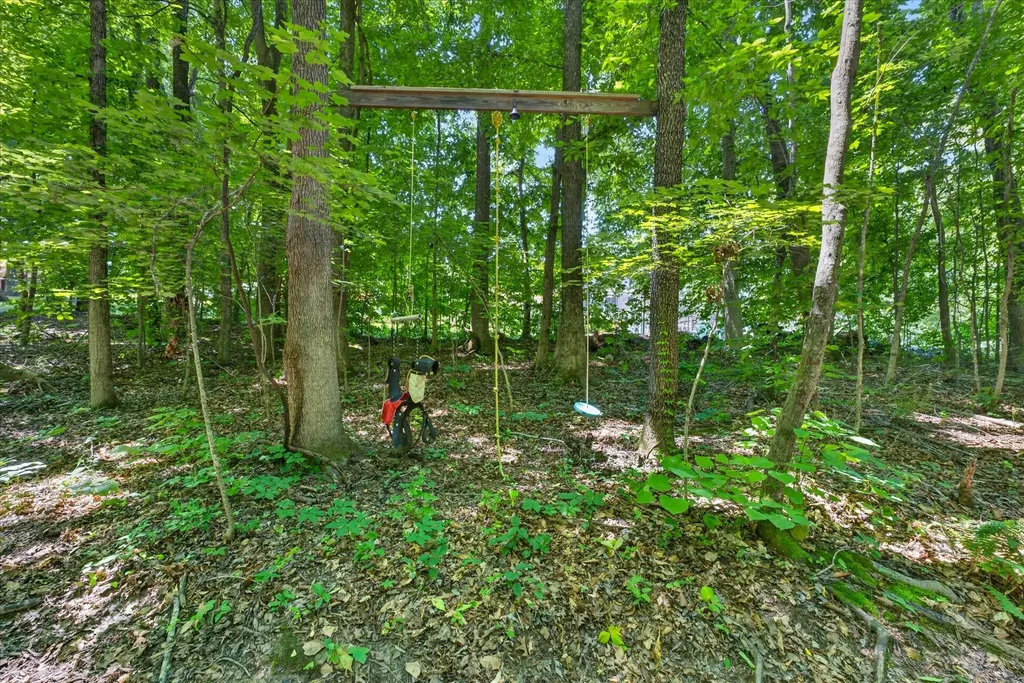 1175 Hutcheson Lane Clarksville TN 37040