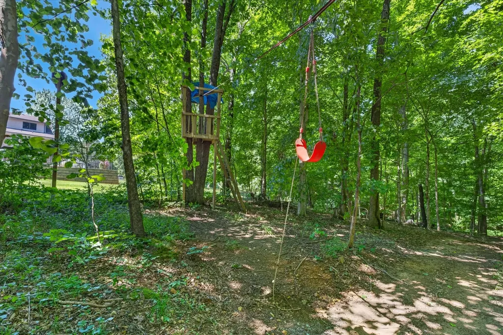 1175 Hutcheson Lane Clarksville TN 37040