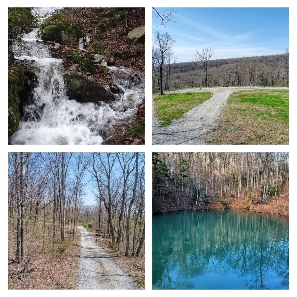 74 Black Cat Trail Rockwood TN 37854