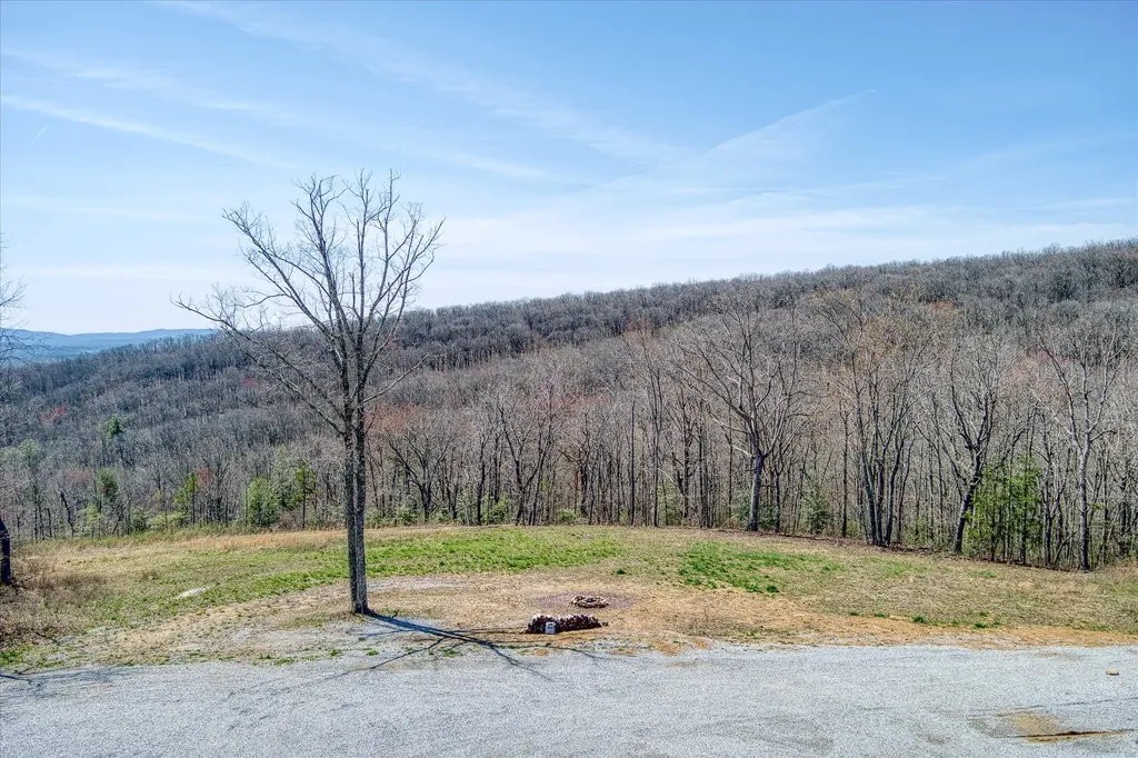 74 Black Cat Trail Rockwood TN 37854