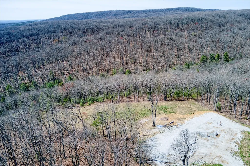 74 Black Cat Trail Rockwood TN 37854