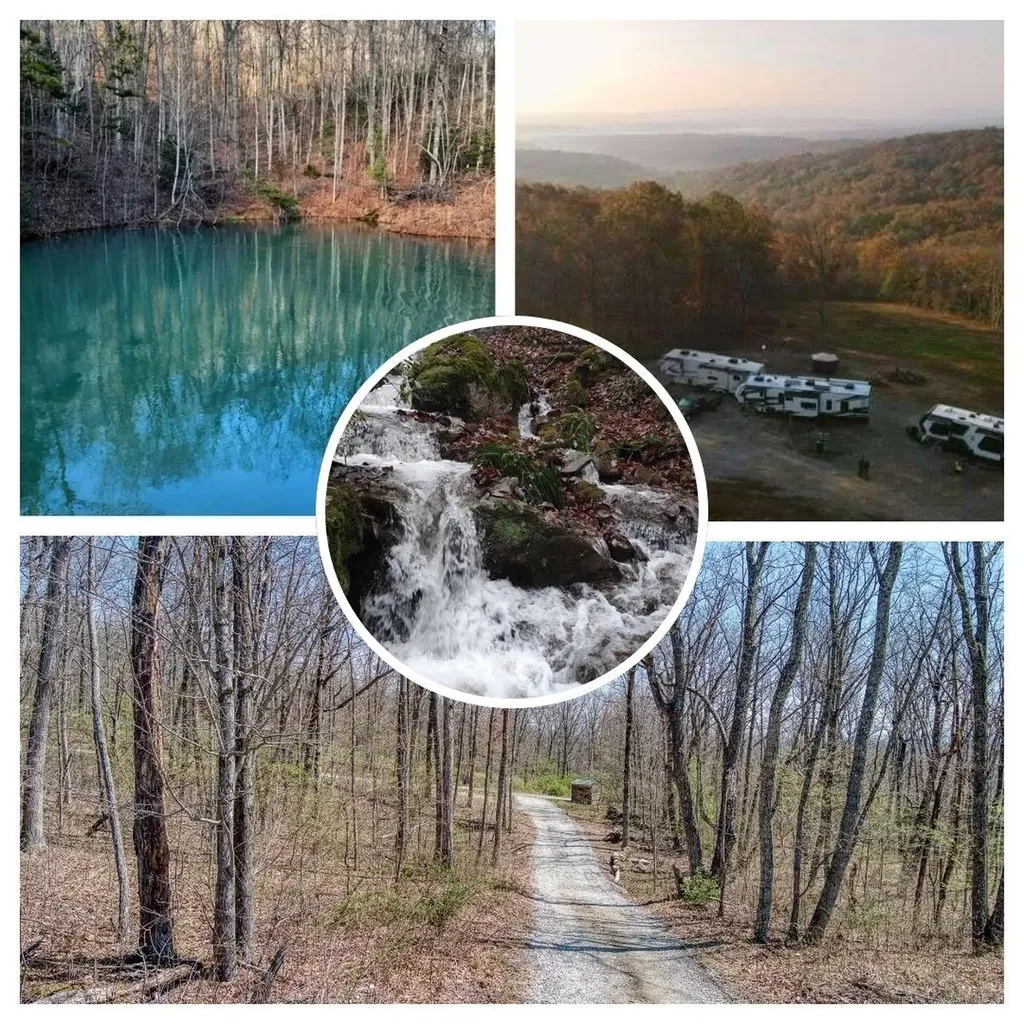 74 Black Cat Trail Rockwood TN 37854
