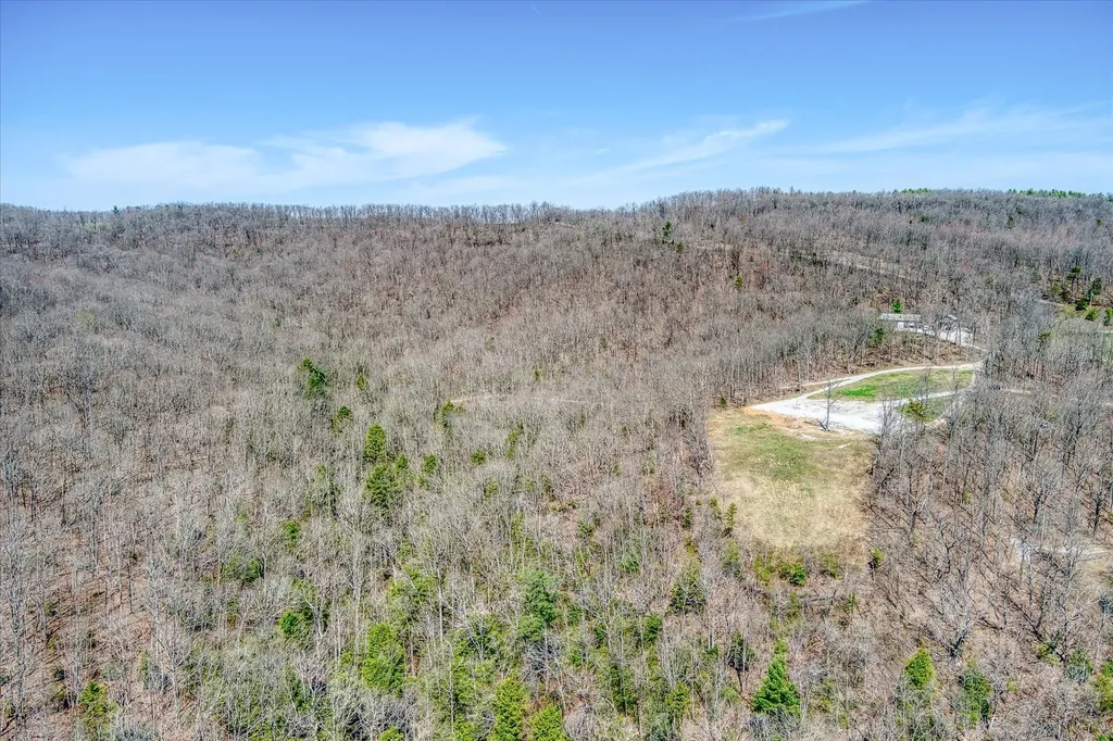 74 Black Cat Trail Rockwood TN 37854