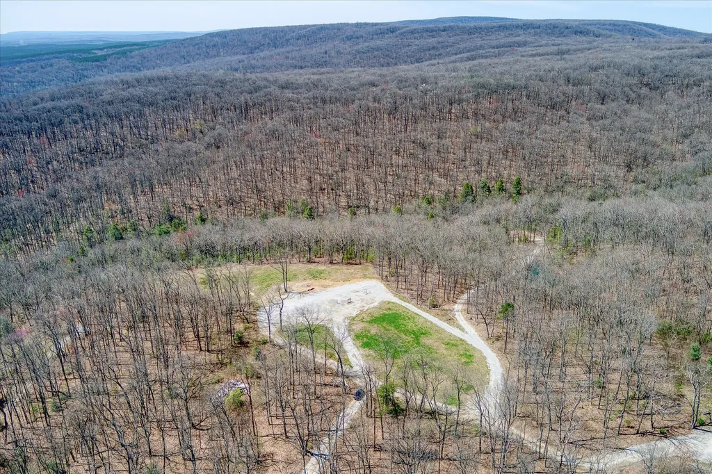 74 Black Cat Trail Rockwood TN 37854
