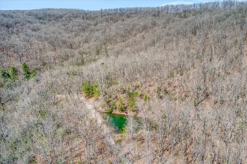 74 Black Cat Trail Rockwood TN 37854