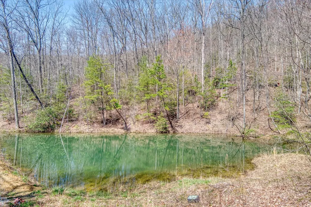 74 Black Cat Trail Rockwood TN 37854