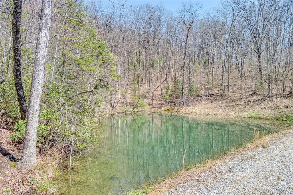 74 Black Cat Trail Rockwood TN 37854