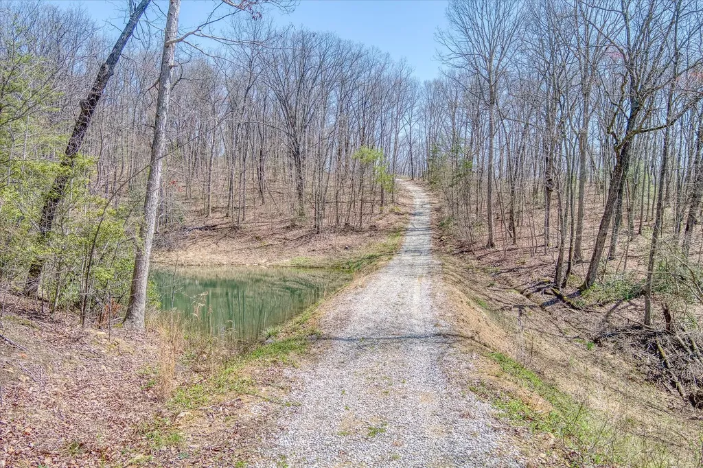 74 Black Cat Trail Rockwood TN 37854