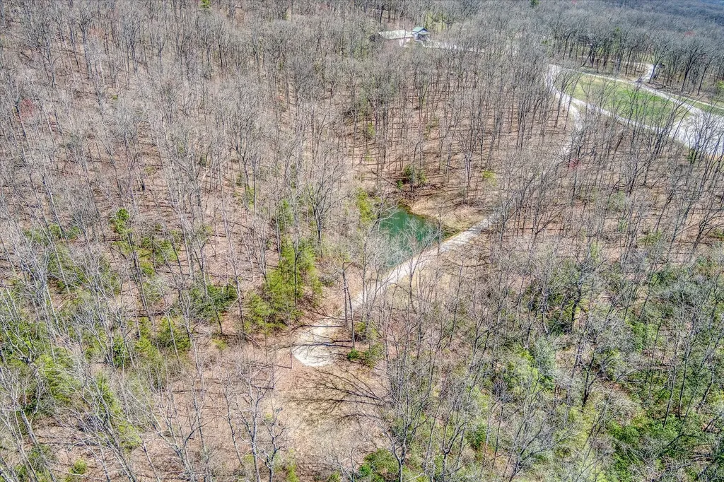 74 Black Cat Trail Rockwood TN 37854