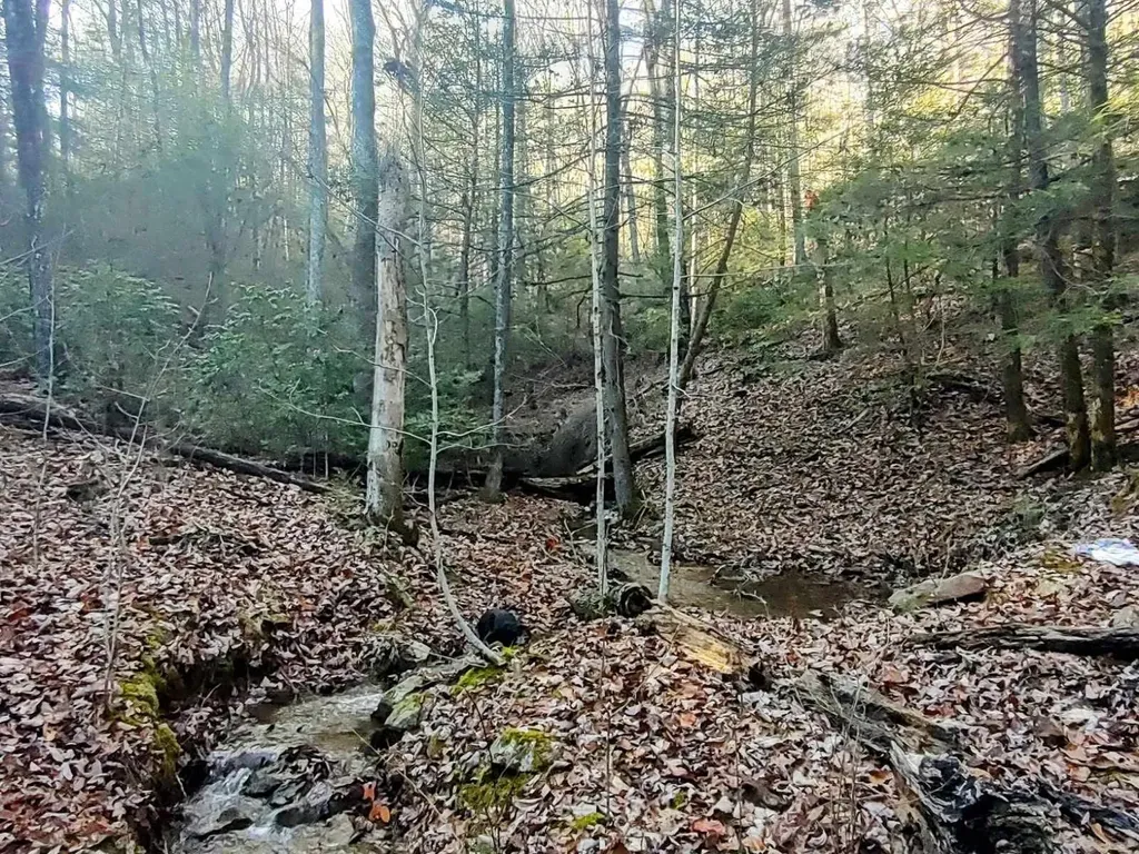 74 Black Cat Trail Rockwood TN 37854