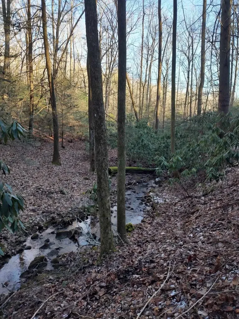 74 Black Cat Trail Rockwood TN 37854