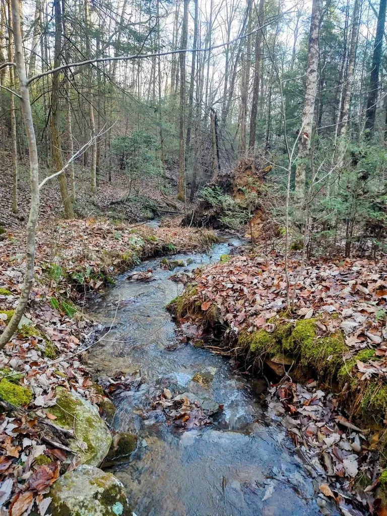 74 Black Cat Trail Rockwood TN 37854