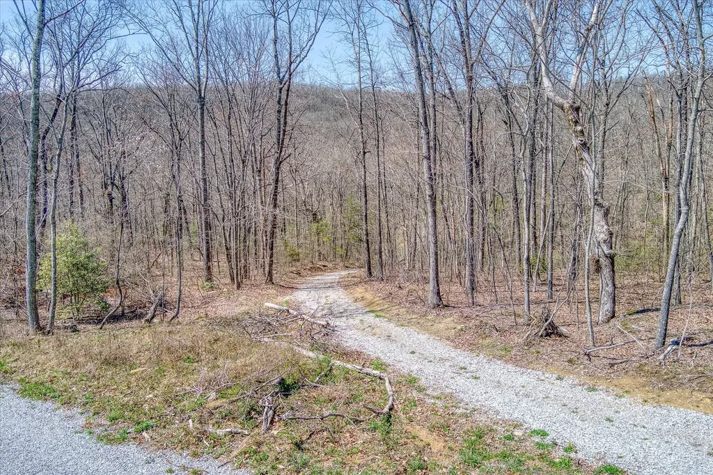 74 Black Cat Trail Rockwood TN 37854